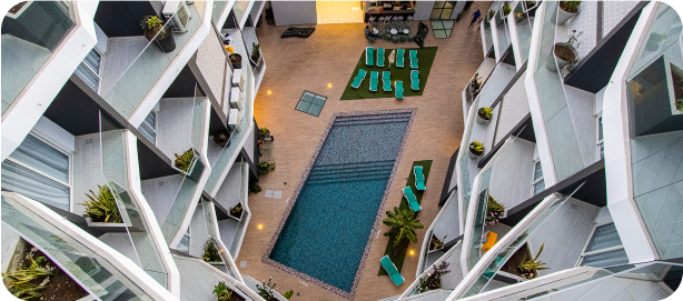 Large Image 1
